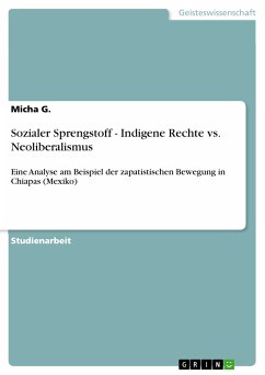 Sozialer Sprengstoff - Indigene Rechte vs. Neoliberalismus (eBook, PDF)