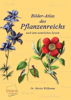 Bilder-Atlas des Pflanzenreichs - Willkomm, Moritz