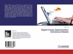 Digital Image Segmentation Variational Models - Ali, Haider