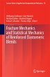 Fracture Mechanics and Statistical... - Bild 1