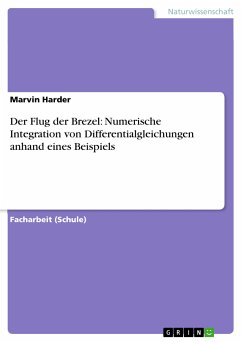 Der Flug der Brezel: Numerische Integration von Differentialgleichungen anhand eines Beispiels (eBook, PDF)