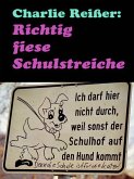 Richtig fiese Schulstreiche (eBook, ePUB)