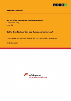 Sollte Großbritannien der Eurozone beitreten? (eBook, PDF) - Haberecht, Maximilian