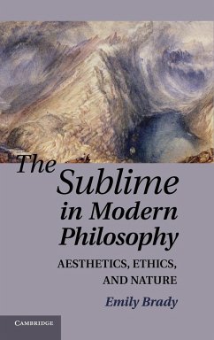 The Sublime in Modern Philosophy - Brady, Emily