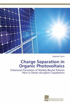 Charge Separation in Organic Photovoltaics - Tautz, Raphael