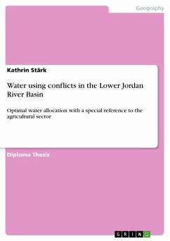 Water using conflicts in the Lower Jordan River Basin (eBook, PDF)