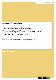Darstellung und kritische Würdigung der direkten Erstellung einer Konzern-Kapitalflussrechnung nach internationalen Normen unter besonderer Berücksichtigung der Abbildung in der SAP Komponente EC-CS (eBook, PDF)