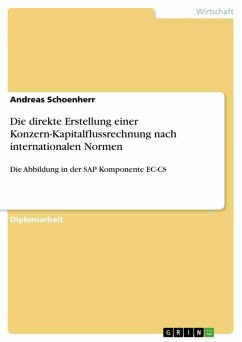 Die direkte Erstellung einer Konzern-Kapitalflussrechnung nach internationalen Normen (eBook, PDF)