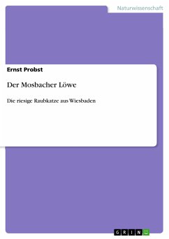 Der Mosbacher Löwe (eBook, PDF)