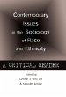 Contemporary Issues in the Sociology of... - Bild 1