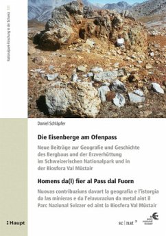 Die Eisenberge am Ofenpass - Homens da(l) fier al Pass dal Fuorn - Schläpfer, Daniel Die Eisenberge am Ofenpass - Homens da(l) fier al Pass dal Fuorn - Schläpfer, Daniel