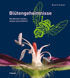 Blütengeheimnisse - Kremer, Bruno P.