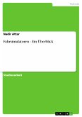 Fahrsimulatoren - Ein Überblick (eBook, PDF)