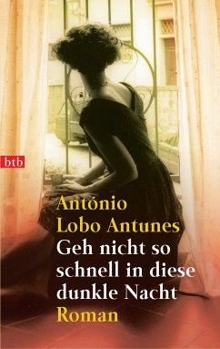 Geh nicht so schnell in diese dunkle Nacht (eBook, ePUB) - Lobo Antunes, António
