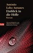 Einblick in die Hölle (eBook, ePUB) - Bild 1