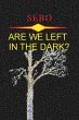 Are We Left in the Dark? - Bild 1