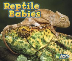 Reptile Babies - Veitch, Catherine