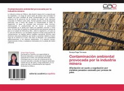 Contaminación ambiental provocada por la industria minera - Puga-Terrazas, Soraya