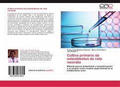 Cultivo primario de osteoblastos de rata neonata - Martínez Canseco, Carlos Jorge;Paredes E, Marco A;Méndez H, Joel