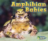 Amphibian Babies