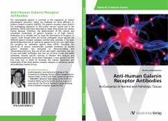 Anti-Human Galanin Receptor Antibodies