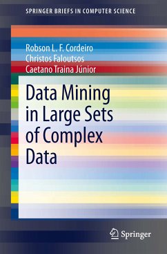 Data Mining in Large Sets of Complex Data (eBook, PDF) - Ferreira Cordeiro, Robson Leonardo; Faloutsos, Christos; Traina Júnior, Caetano