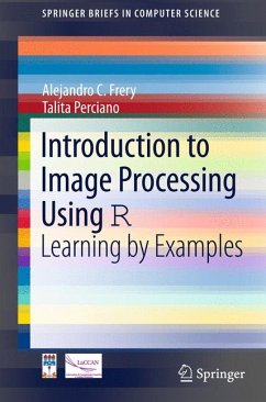 Introduction to Image Processing Using R (eBook, PDF) - Frery, Alejandro C.; Perciano, Talita