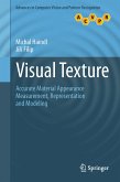 Visual Texture (eBook, PDF)
