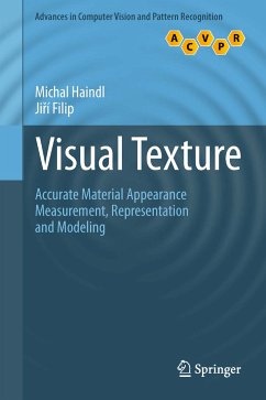 Visual Texture (eBook, PDF) - Haindl, Michal; Filip, Jiri