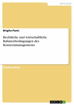 Rechtliche und wirtschaftliche Rahmenbedingungen des Konzernmanagements (eBook, ePUB) - Panic, Brigita