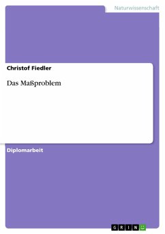 Cover Das Maßproblem (eBook, PDF)