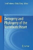 Cover Ontogeny and Phylogeny of the Vertebrate Heart (eBook, PDF)