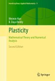 Plasticity (eBook, PDF)