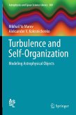 Turbulence and Self-Organization (eBook, PDF)