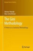 The Gini Methodology (eBook, PDF)