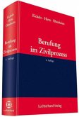 Berufung im Zivilprozess Berufung im Zivilprozess