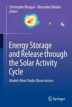 Energy Storage and Release through the Solar Activity Cycle (eBook, PDF)