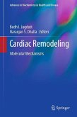 Cardiac Remodeling (eBook, PDF)