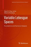 Variable Lebesgue Spaces (eBook, PDF)