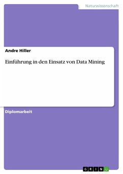 Einführung in den Einsatz von Data Mining (eBook, PDF)