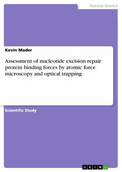 Assessment of nucleotide excision repair protein binding forces by atomic force microscopy and optical trapping (eBook, PDF) - Mader, Kevin