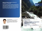 Molecular Studies of Important Species of Astragalus L. (Fabaceae)