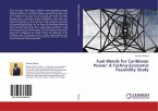 Fuel Blends for Caribbean Power: A Techno-Economic Feasibility Study