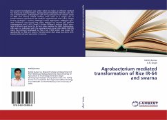 Agrobacterium mediated transformation of Rice IR-64 and swarna - Kumar, Kshitij; Singh, K. N.