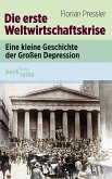 Die erste Weltwirtschaftskrise (eBook, ePUB)