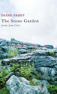 The Stone Garden - Fahey, Diane