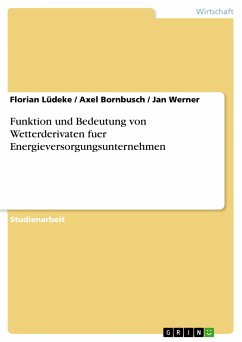 Funktion und Bedeutung von Wetterderivaten fuer Energieversorgungsunternehmen (eBook, PDF) - Lüdeke, Florian; Bornbusch, Axel; Werner, Jan