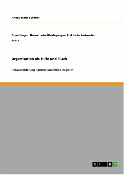 Organisation als Hilfe und Fluch (eBook, PDF)