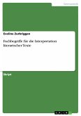 Fachbegriffe für die Interpretation literarischer Texte (eBook, PDF)
