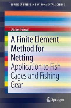 A Finite Element Method for Netting - Priour, Daniel